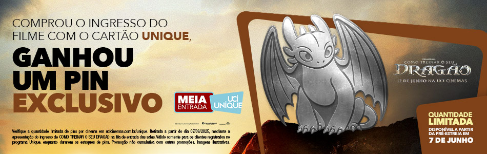 PIN COMO TREINAR SEU DRAGÃO