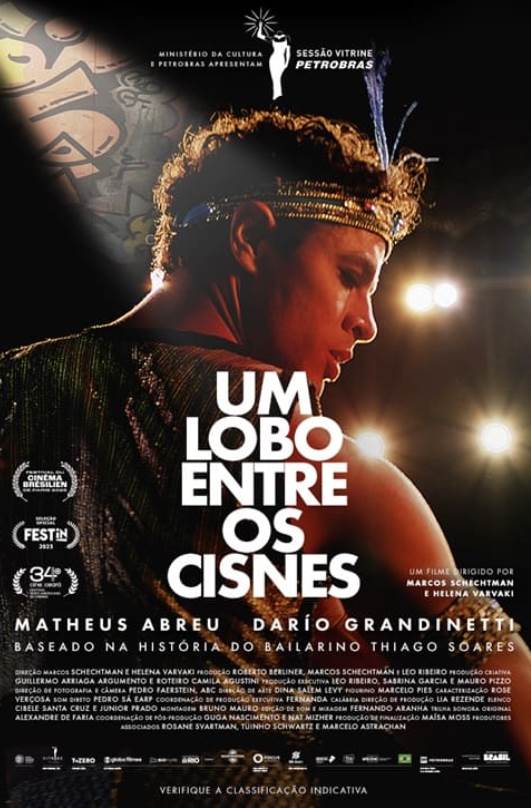 UM LOBO ENTRE OS CISNES
