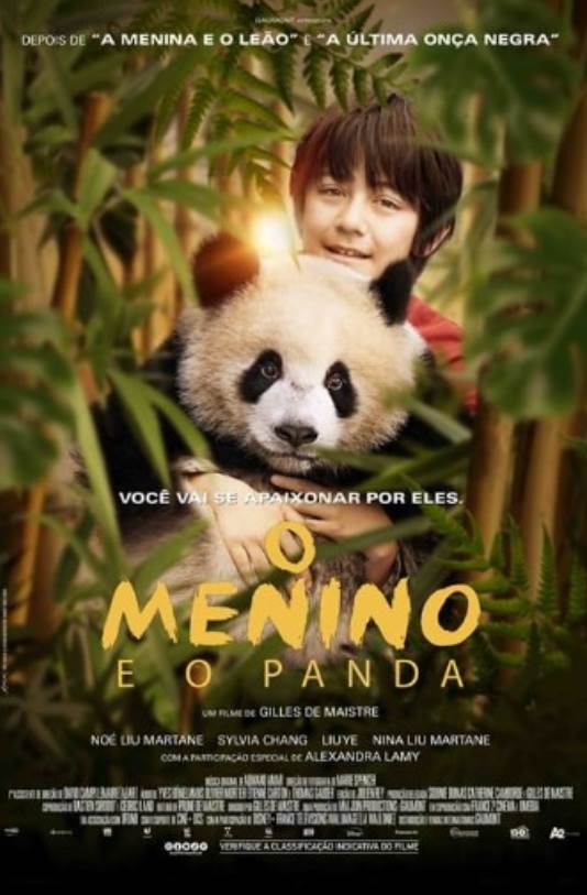 O MENINO E O PANDA