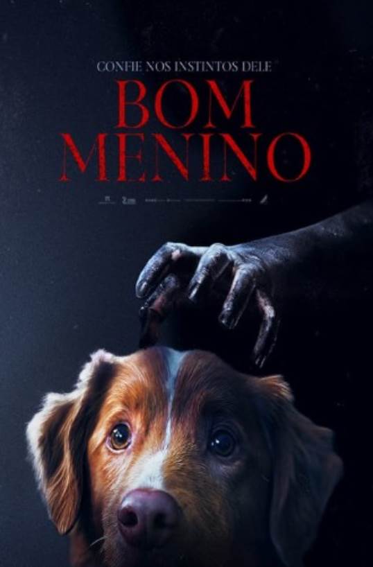 BOM MENINO